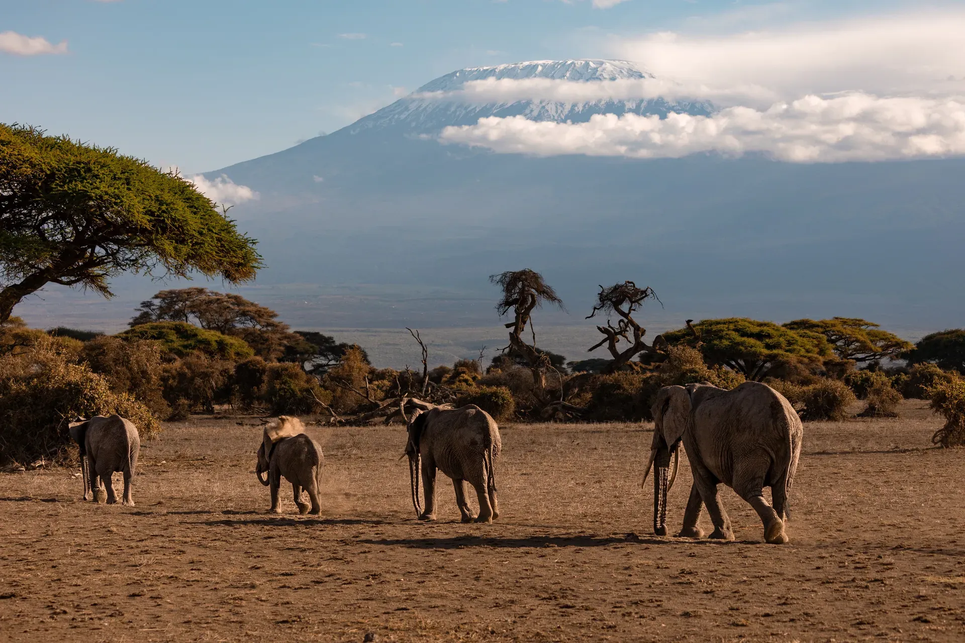 Amboseli National Park