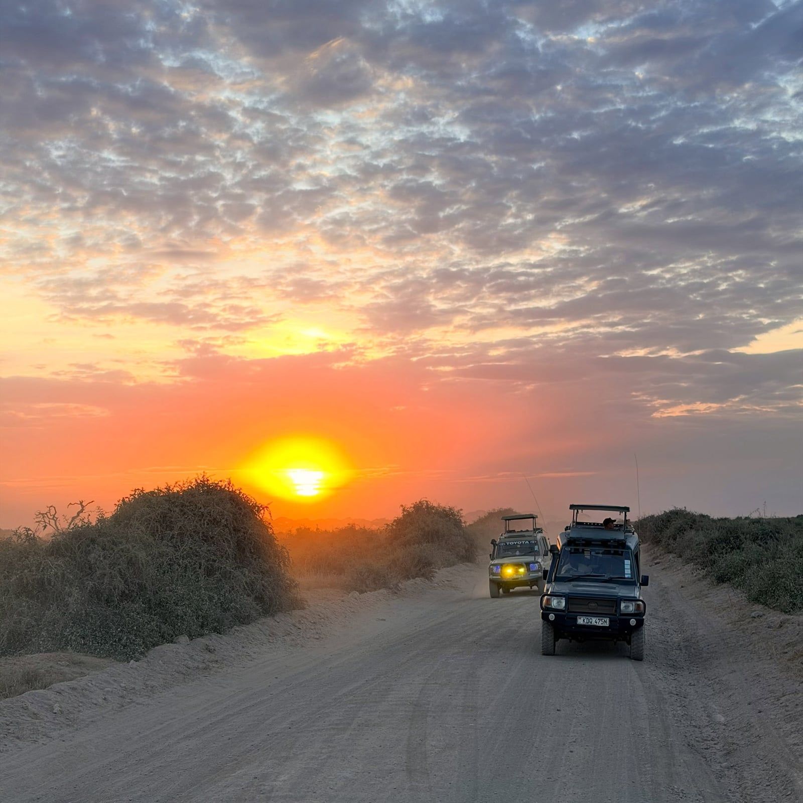 Bezoekersfoto Amboseli National Park tour