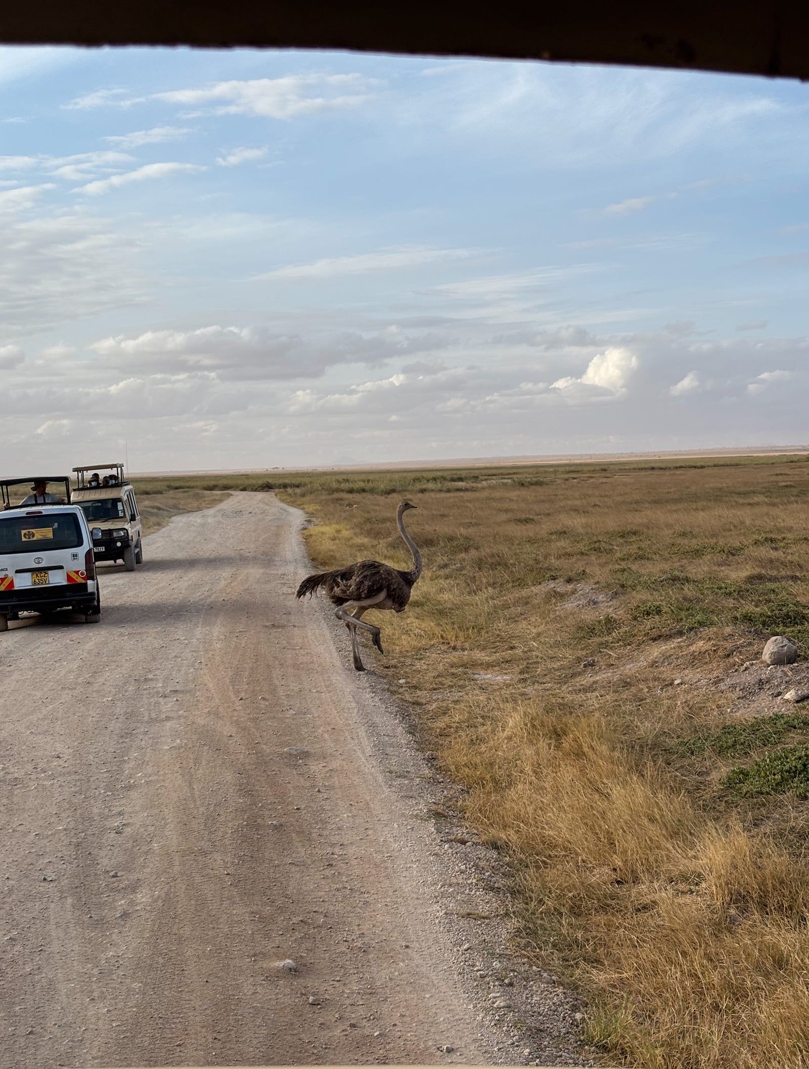 Bezoekersfoto Amboseli National Park tour