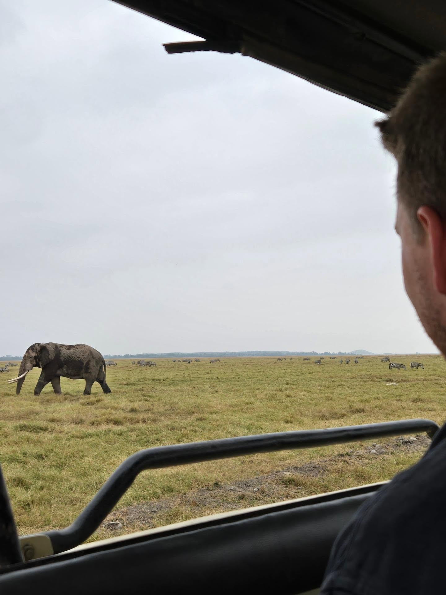 Bezoekersfoto Amboseli National Park tour