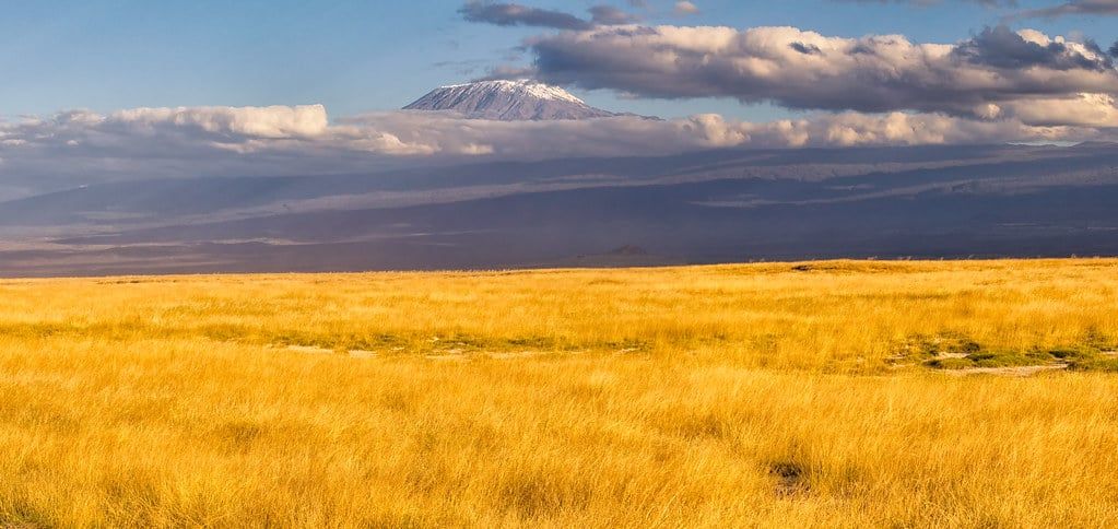 Snow-dusted summit of Mount Kilimanjaro rising above cloud cover over the golden grass plains of Amboseli National Park.