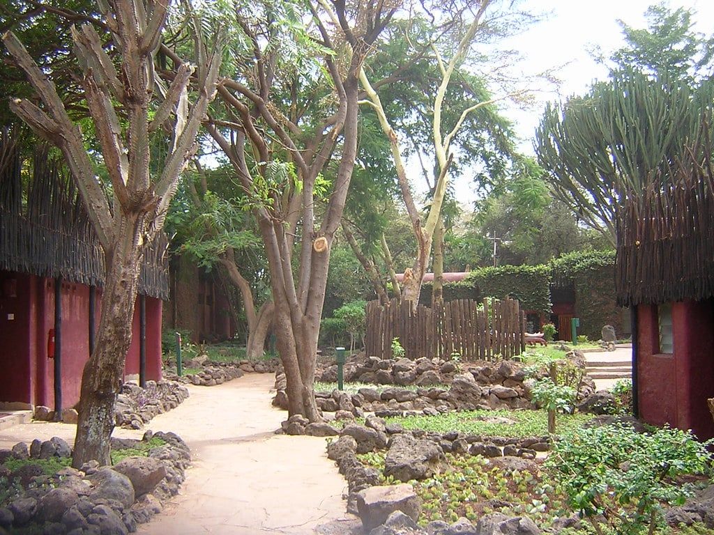 A stone path winds through trees and volcanic rock landscaping between guest cabins at Serena Amboseli Safari Lodge in Amboseli National Park.