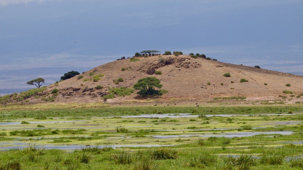 La Colina de Observación se alza sobre las marismas verdes del Parque Nacional de Amboseli con un mirador en su cima.