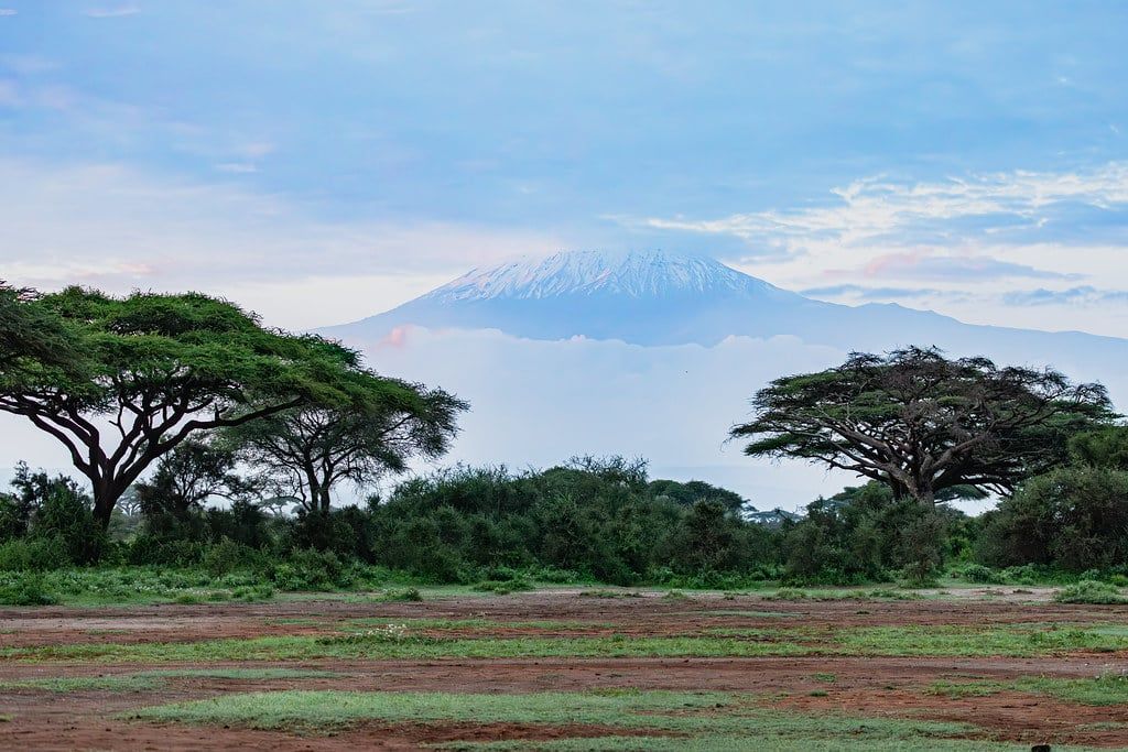 Mount Kilimanjaro's snowcapped peak rises above clouds and acacia trees in Amboseli National Park.